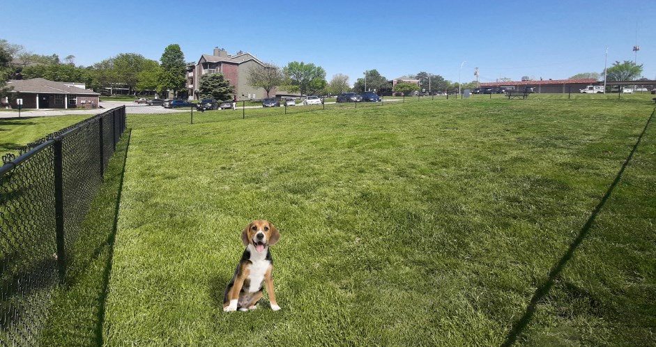 Huge dog park, resident dog park at Alpine Village Apartments in La Vista, Nebraska