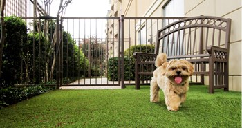 Pet friendly luxury apartments with puppy palazzo and dog yard at Villa Piana Apartments in Dallas - Photo Gallery 15