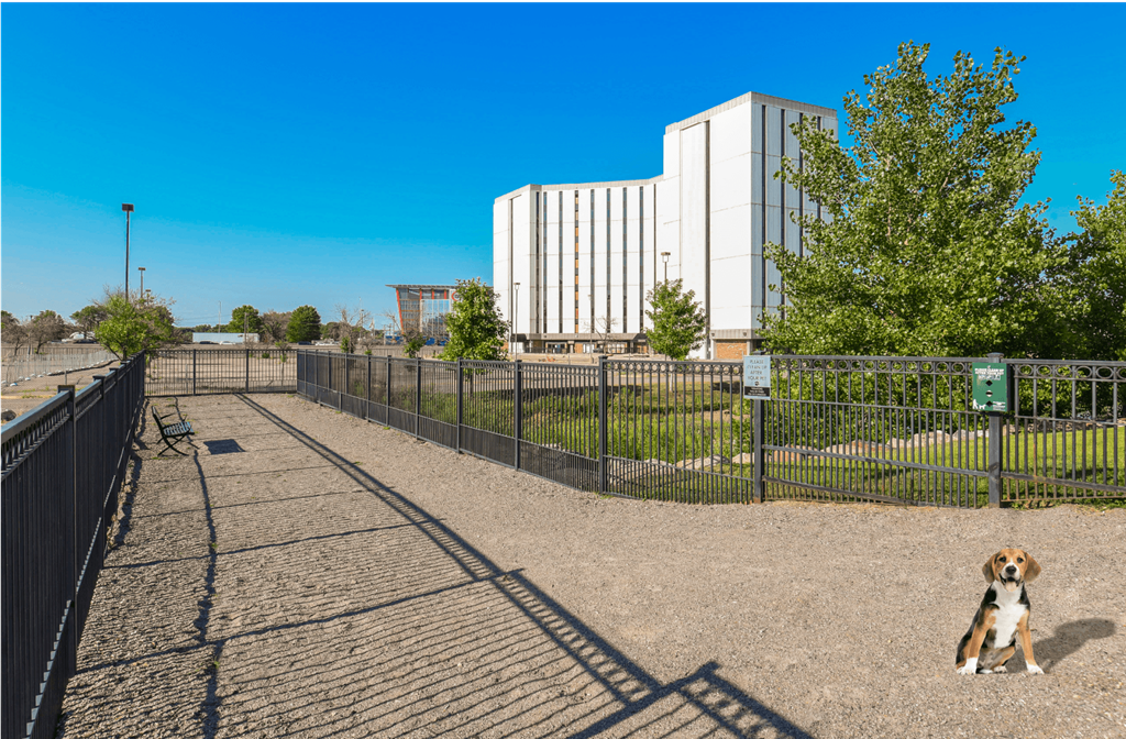 Luxury apartments with dog park at Luxembourg Apartments in Bloomington Minnesota