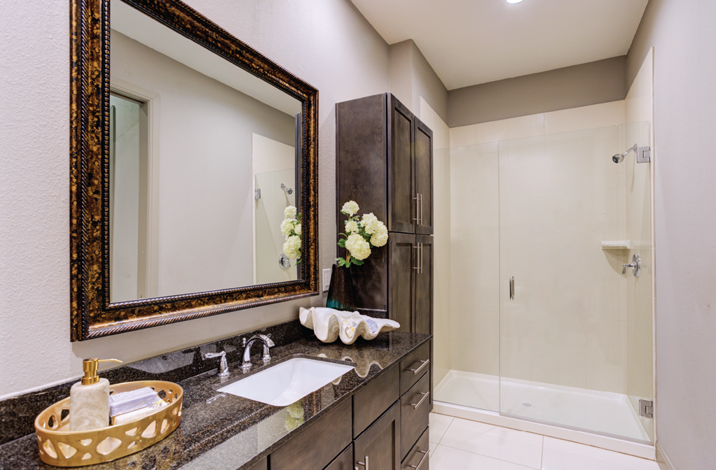 Luxury bath suite with granite slab vanity top, frameless glass walk-in shower, and spacious linen cabinets at Le Palais Apartments in Houston.