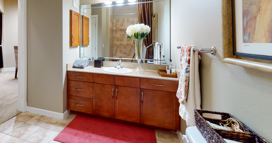 Spacious luxury bathroom with granite vanity top at Delante Apartments in Irving Texas
