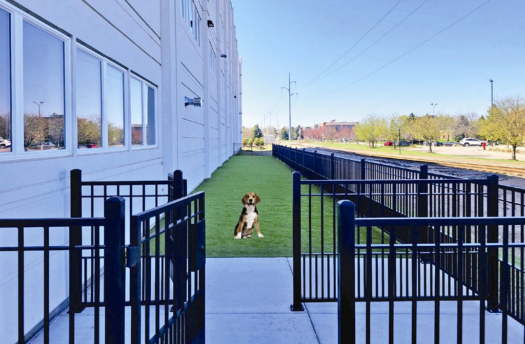 Private dog park at Xenia Apartments in Golden Valley, Minnesota