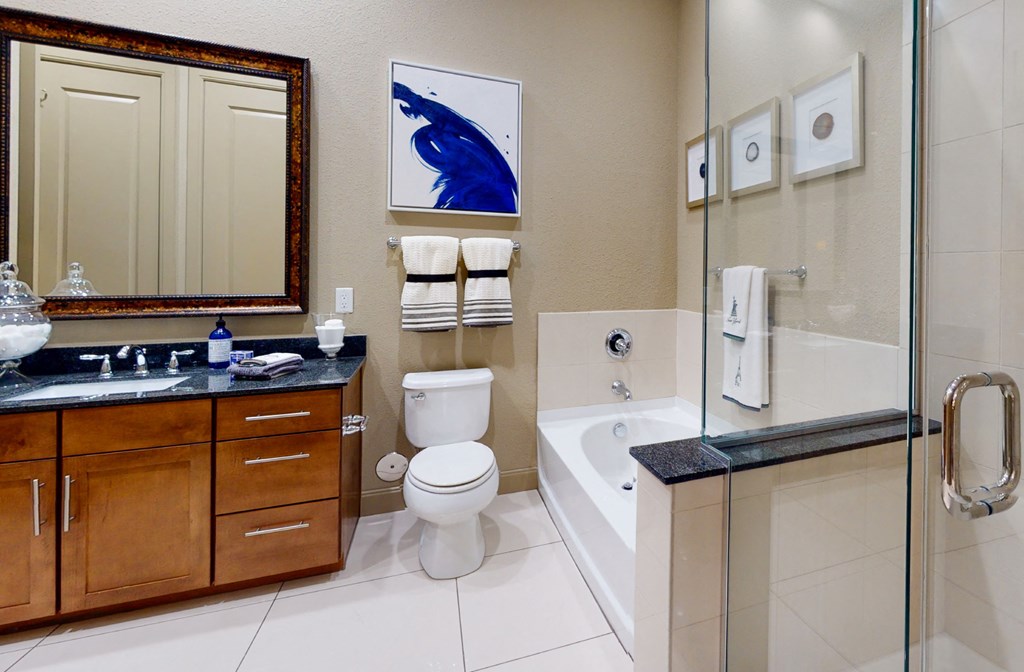 Luxury bathroom with granite countertops, glass shower and separate soaking tub at Luxembourg Apartments in Bloomington Minnesota