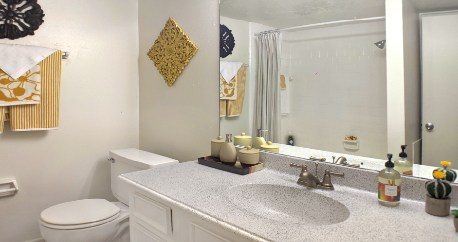 a bathroom with a sink and a toilet and a mirror