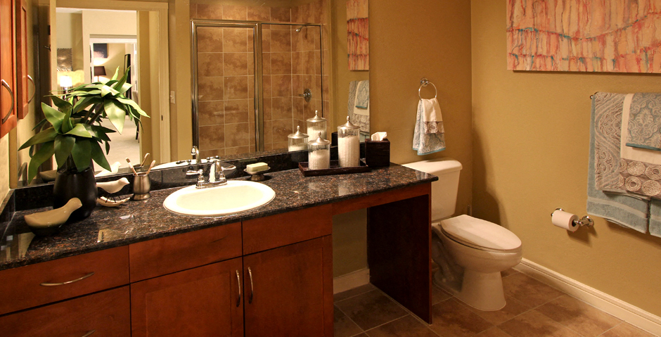 Spacious luxury bathroom with granite vanity top and glass shower at Delante Apartments in Irving Texas