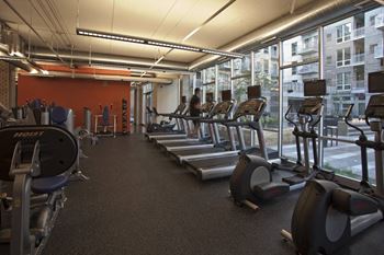 A gym with treadmills and exercise bikes.