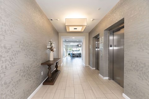 A hallway with a bench and a wallpapered wall.