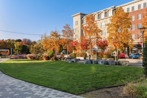 A park with a grassy area and trees with autumn leaves.
