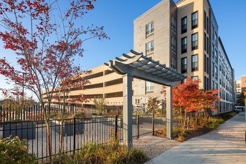 A parking lot is surrounded by a black fence and a tree with red leaves.