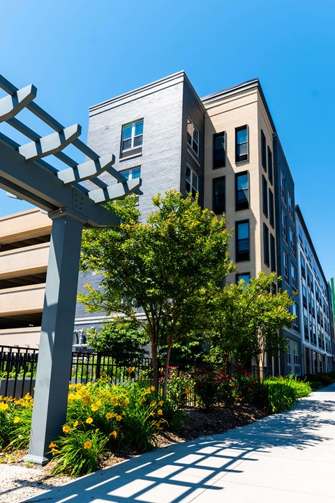A modern building with a tree and a bench in front.