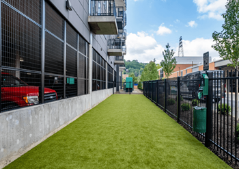 a grass lawn in front of a building with a fence