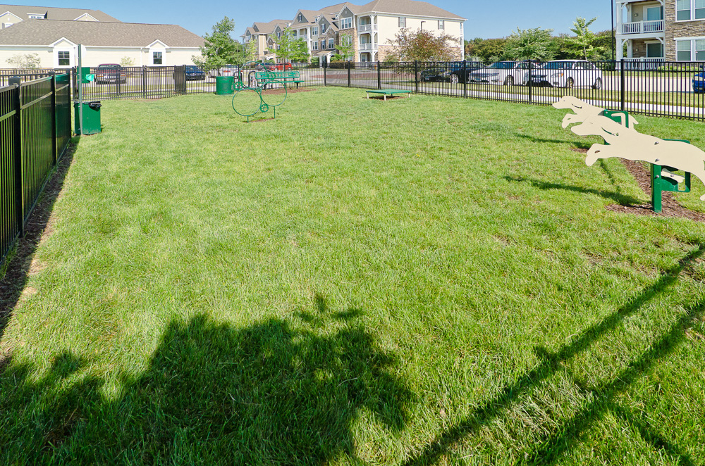 Tapestry Naperville Pet Friendly Onsite Dog Park