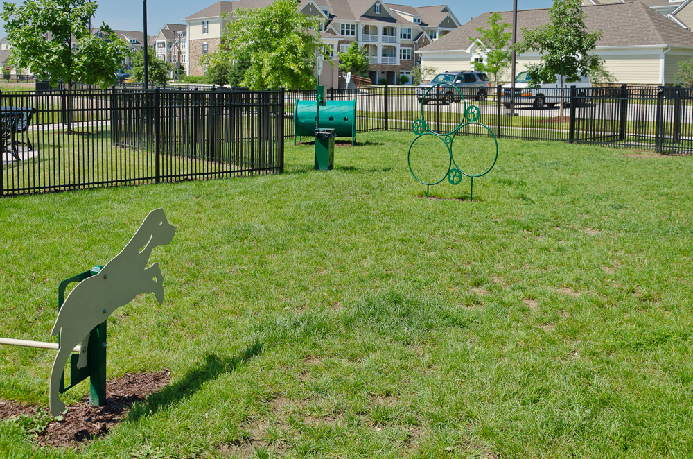 Tapestry Naperville Dog Run Pet Friendly Apartments