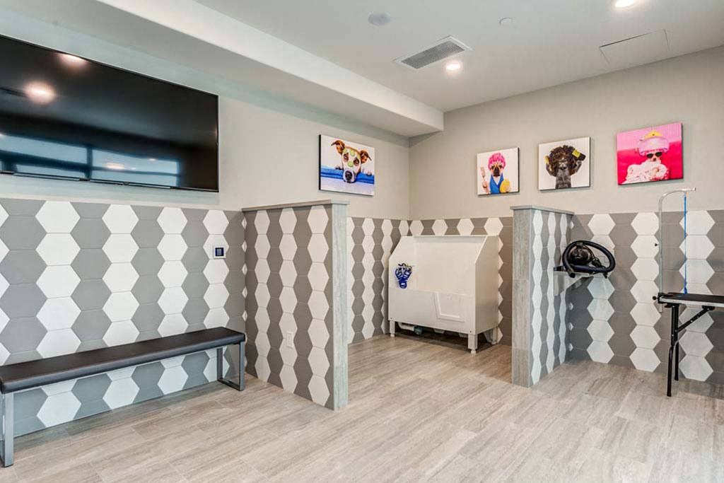 Pet wash at  The Shirley Apartments , Odenton,21113