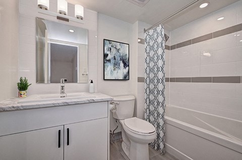 a bathroom with a sink toilet and a shower