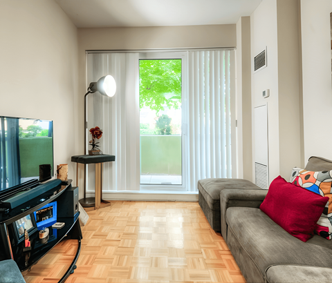 A living room with a grey couch and a television.