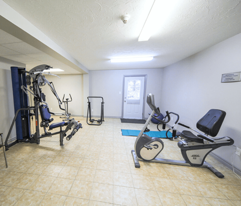 A gym room with a treadmill, weights, and a bench press.