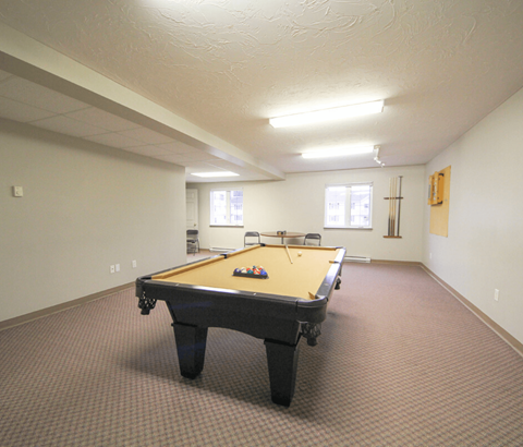 A pool table in a room with a brown carpet.