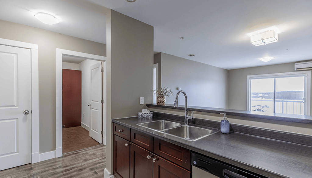 A kitchen with a sink and a window.