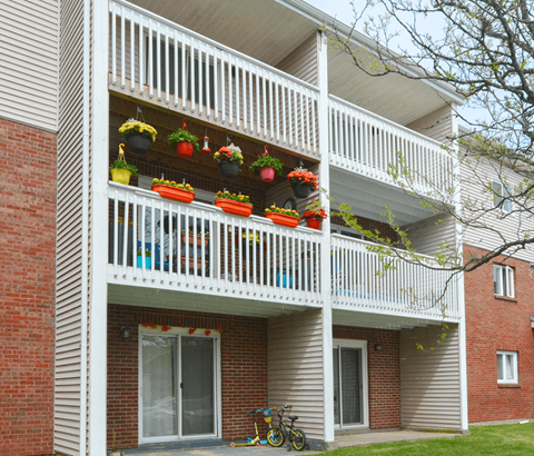 A balcony with white railings and several potted plants.