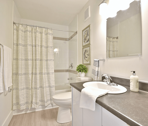 A bathroom with a white toilet, a sink, and a shower curtain.