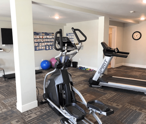 A gym with a treadmill, exercise bike, and weights.