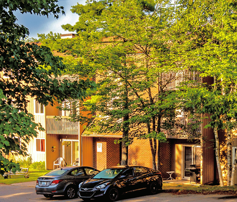 Two cars parked in front of a building with trees.