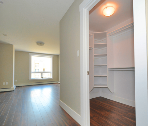 246 Innovation Drive Bedroom Closet