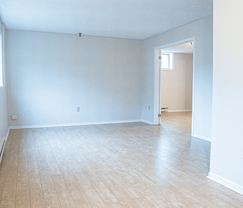 294-300 Main Avenue living space
