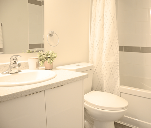 31 Carrington Place bathroom