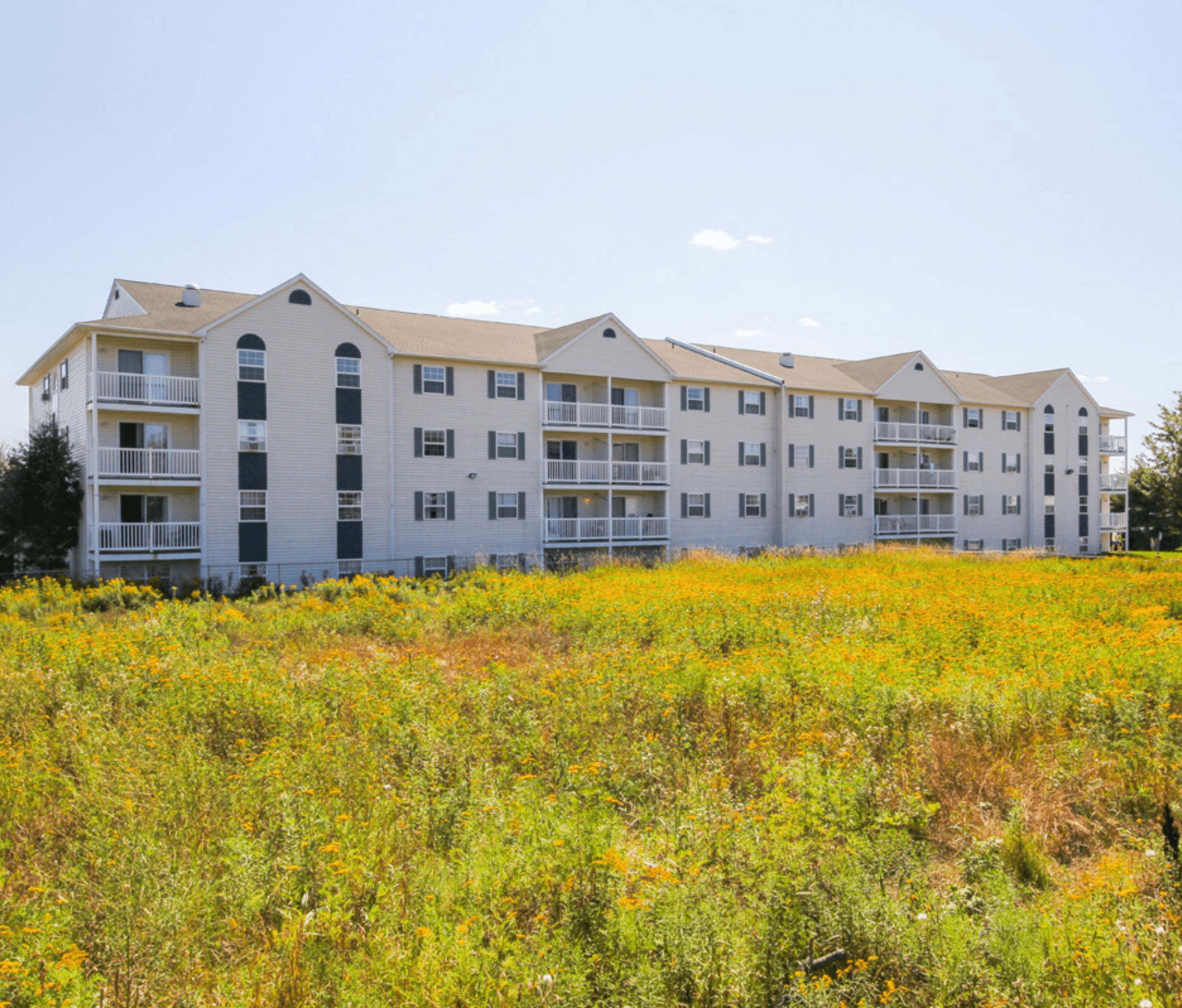2 bedroom apartment - 316 Acadie Avenue, Dieppe - unit 3001 3