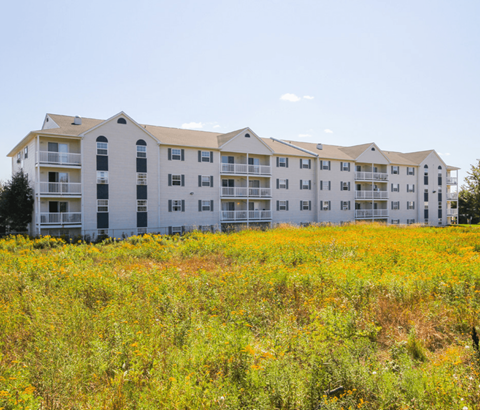 A field of wildflowers in front of apartment buildings.
