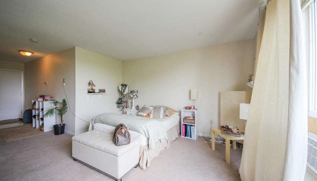 a bedroom with a bed and a white couch