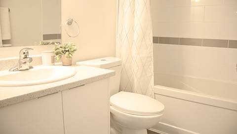 A white toilet sits next to a sink in a bathroom.