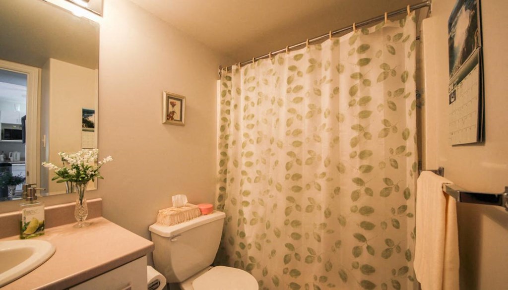 A bathroom with a toilet, sink, and shower curtain.