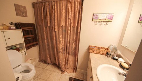 A bathroom with a toilet, sink, and shower curtain.