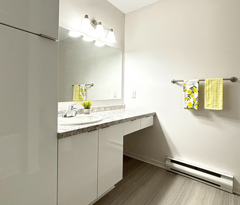 A bathroom with a sink and mirror.