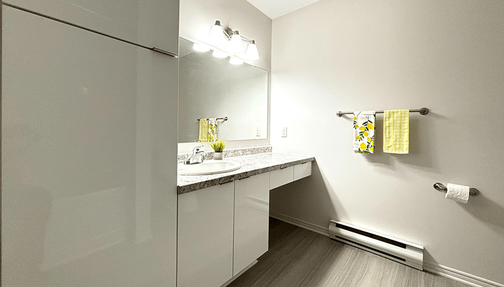 a bathroom with a sink and a mirror