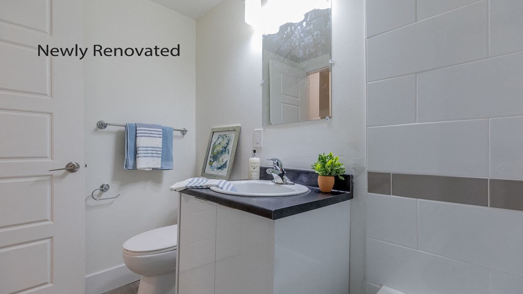 a bathroom with a sink and a toilet and a mirror