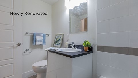 a bathroom with a sink and a toilet and a mirror