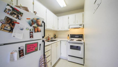 a kitchen with a stove and a refrigerator