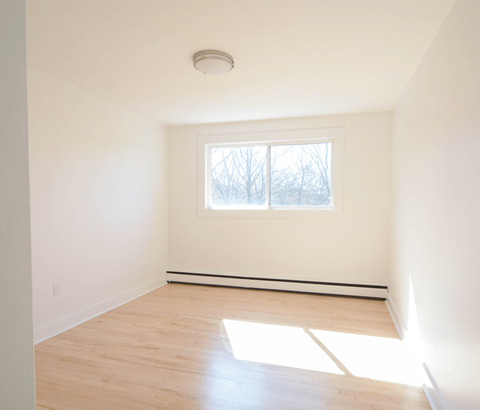 6 Jamieson Street Bedroom 1