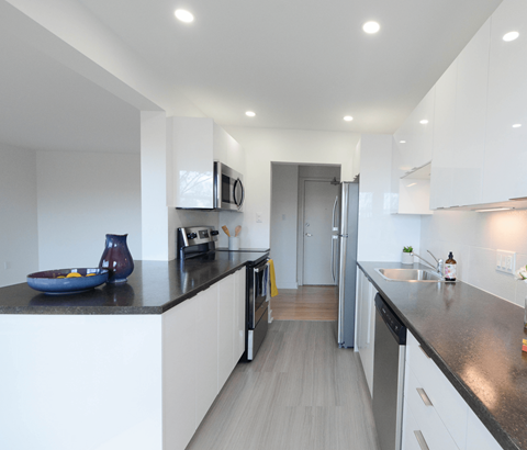 6 Jamieson Street Kitchen Counter