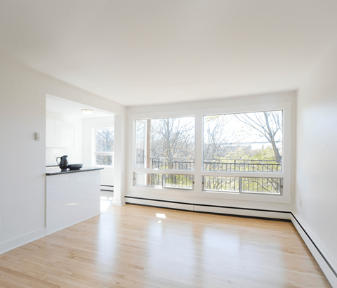 6 Jamieson Street Living Room