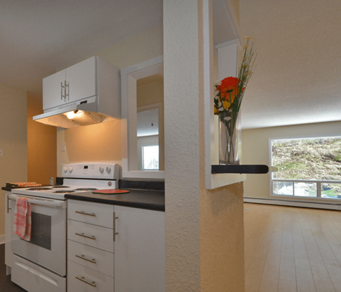 67 and 141 Harlington Kitchen Livingroom