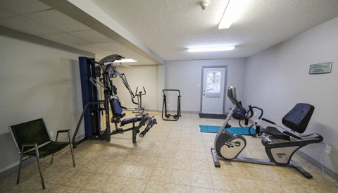 A gym room with a treadmill, weights, and a bench.