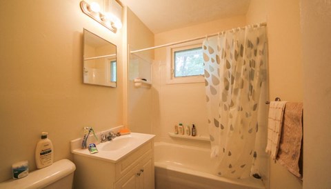 a bathroom with a sink and a shower