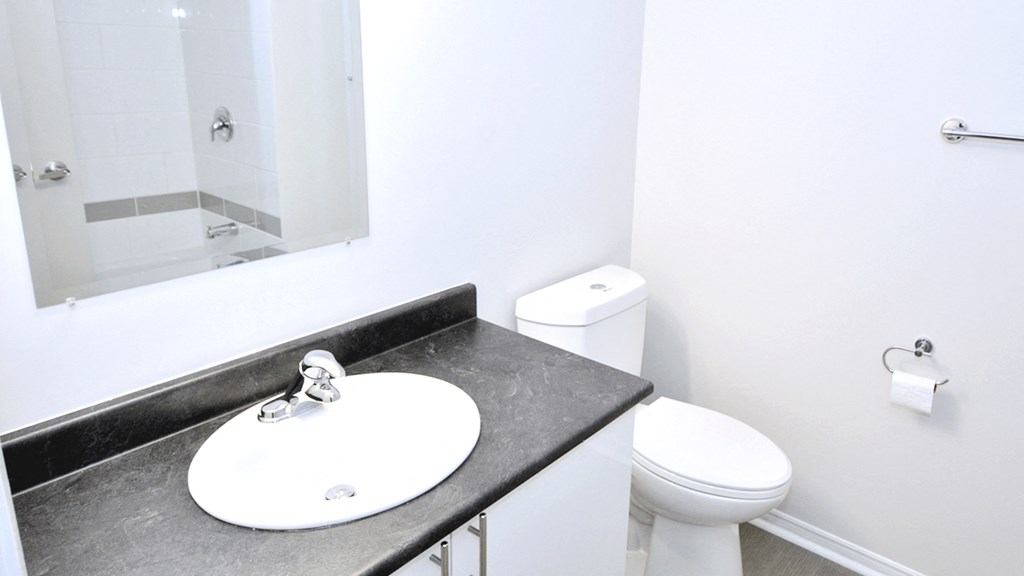 a bathroom with a sink and a toilet and a mirror
