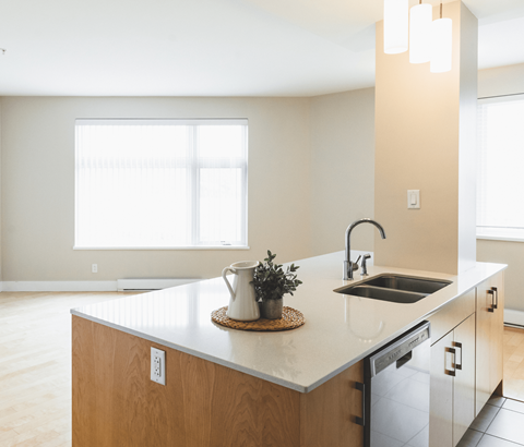 A kitchen with a sink and a window.