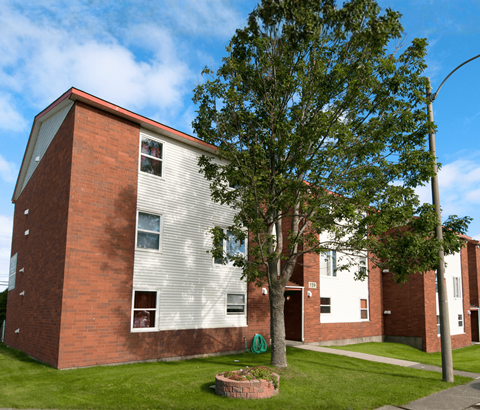 A tree in front of a brick building with a red roof.